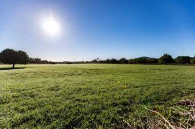 Residential Land For Sale in Campanet, Spain