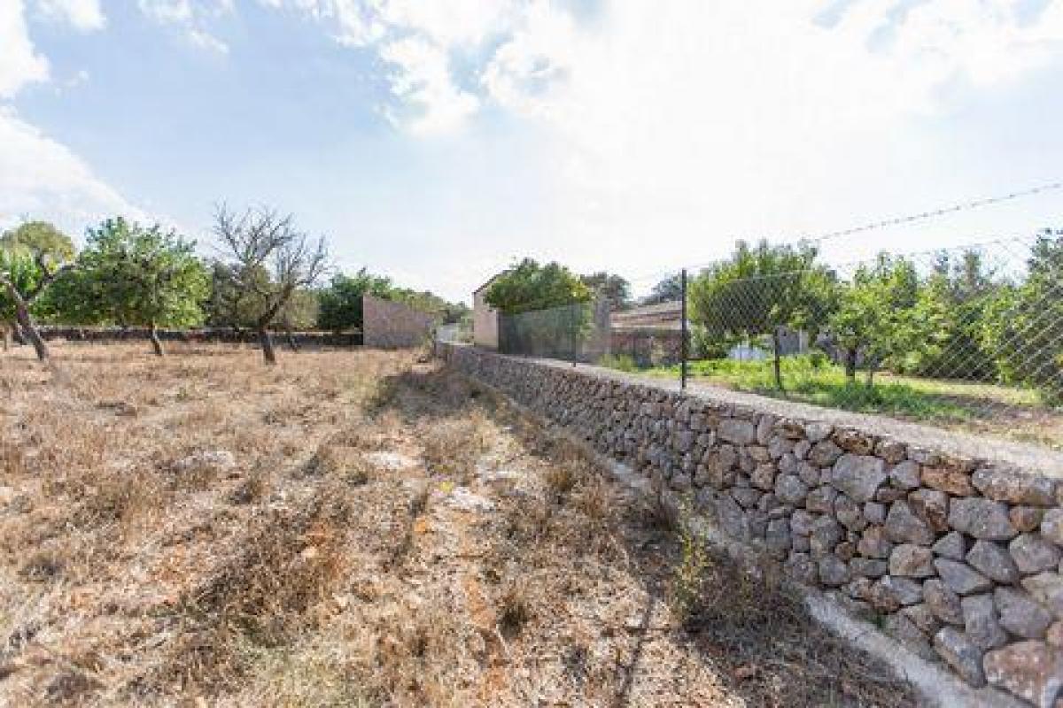 Picture of Villa For Sale in Costitx, Mallorca, Spain