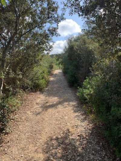 Residential Land For Sale in Manacor, Spain