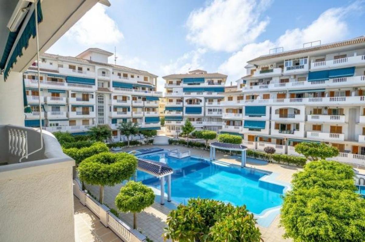 Picture of Apartment For Rent in Torrevieja, Alicante, Spain