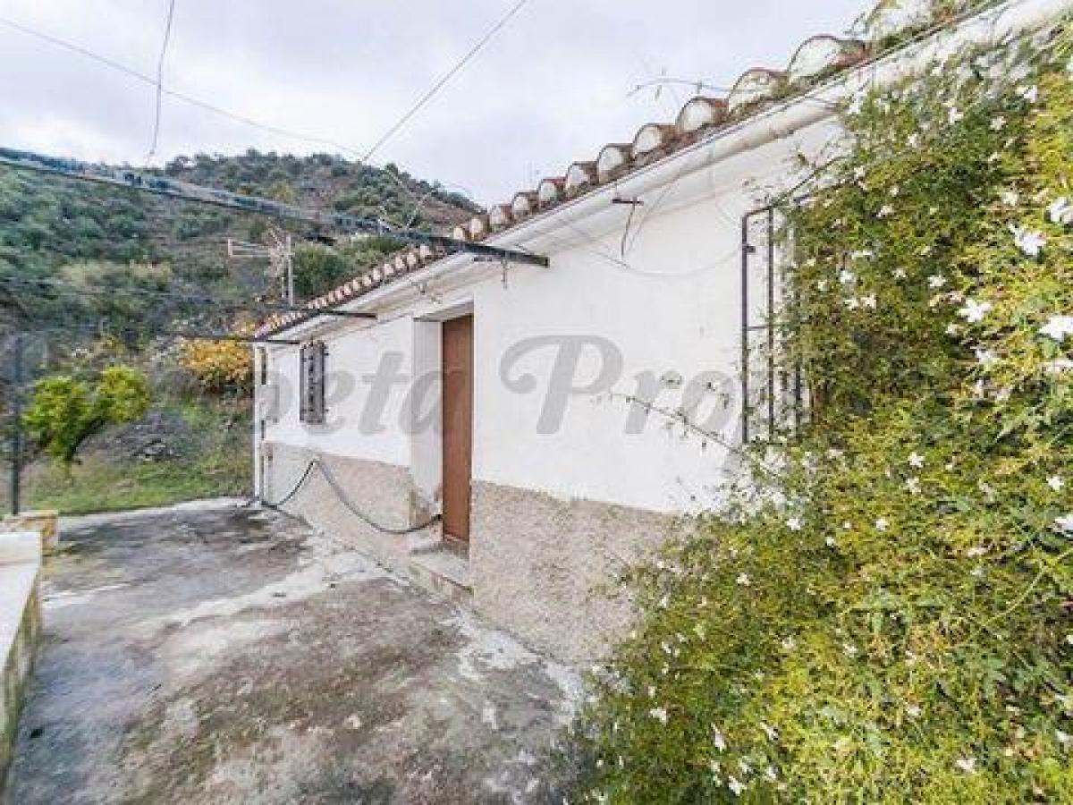 Picture of Farm For Sale in Torrox, Malaga, Spain