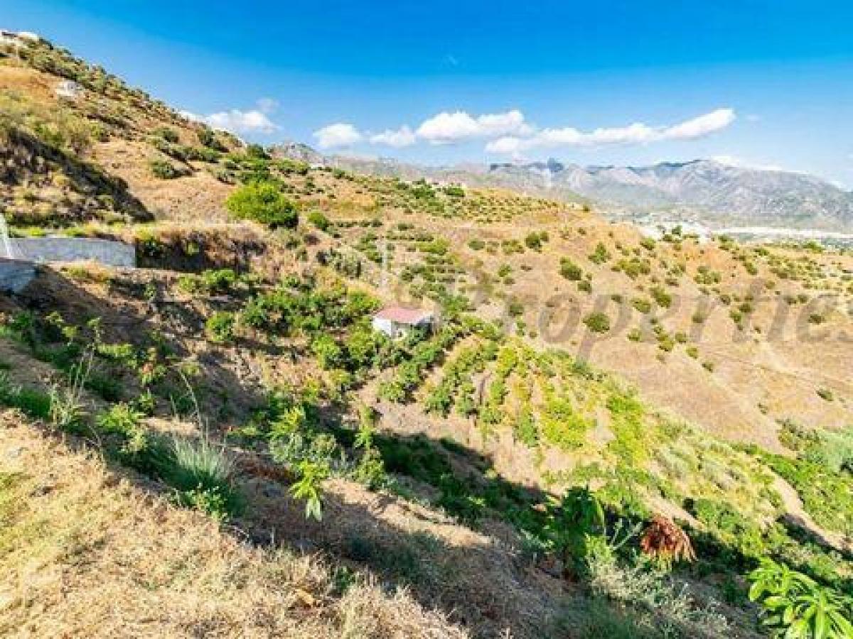 Picture of Farm For Sale in Torrox, Malaga, Spain