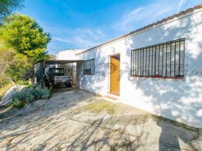 Farm For Sale in Torrox Costa, Spain