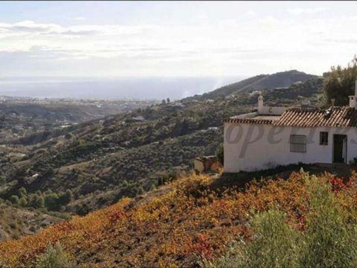 Picture of Farm For Sale in Torrox, Malaga, Spain