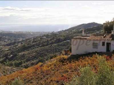Farm For Sale in Torrox, Spain