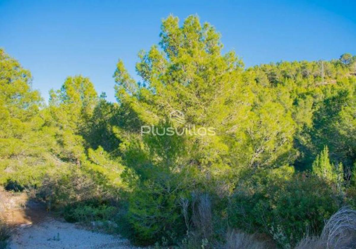 Picture of Residential Land For Sale in Benissa, Valencia, Spain