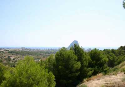 Residential Land For Sale in