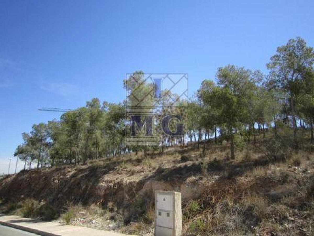Picture of Residential Land For Sale in Murcia, Murcia, Spain