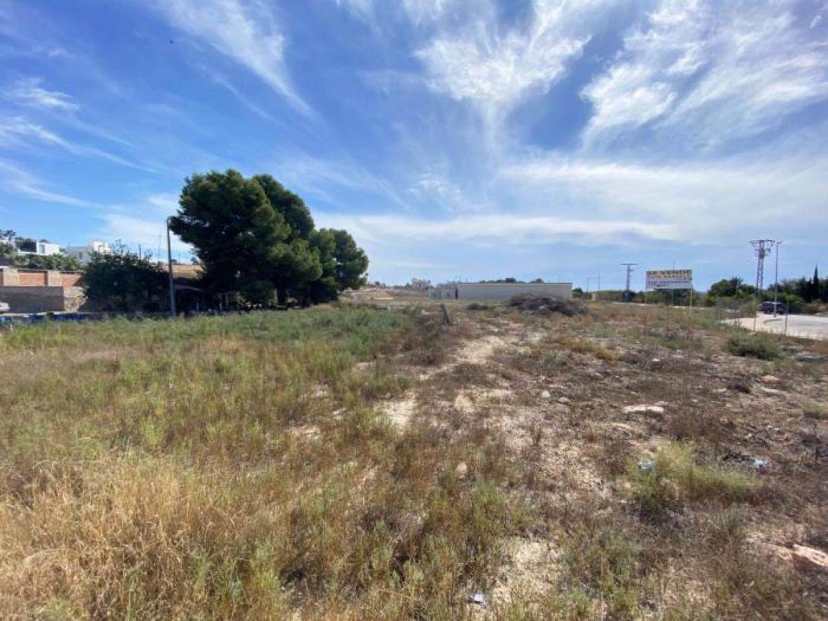 Picture of Residential Land For Sale in La Marina, Alicante, Spain