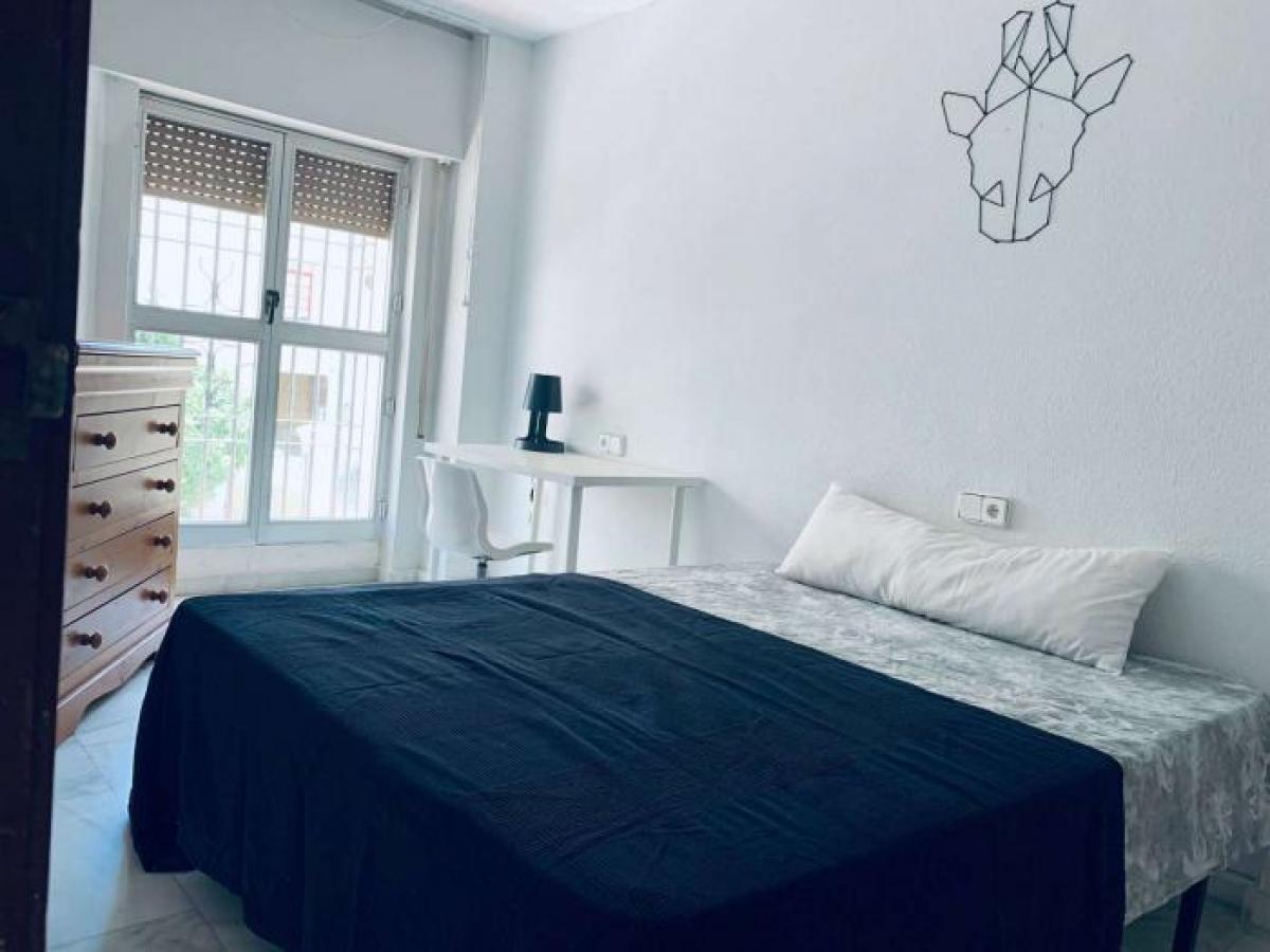 Picture of Apartment For Rent in Cordoba, Cordoba, Spain