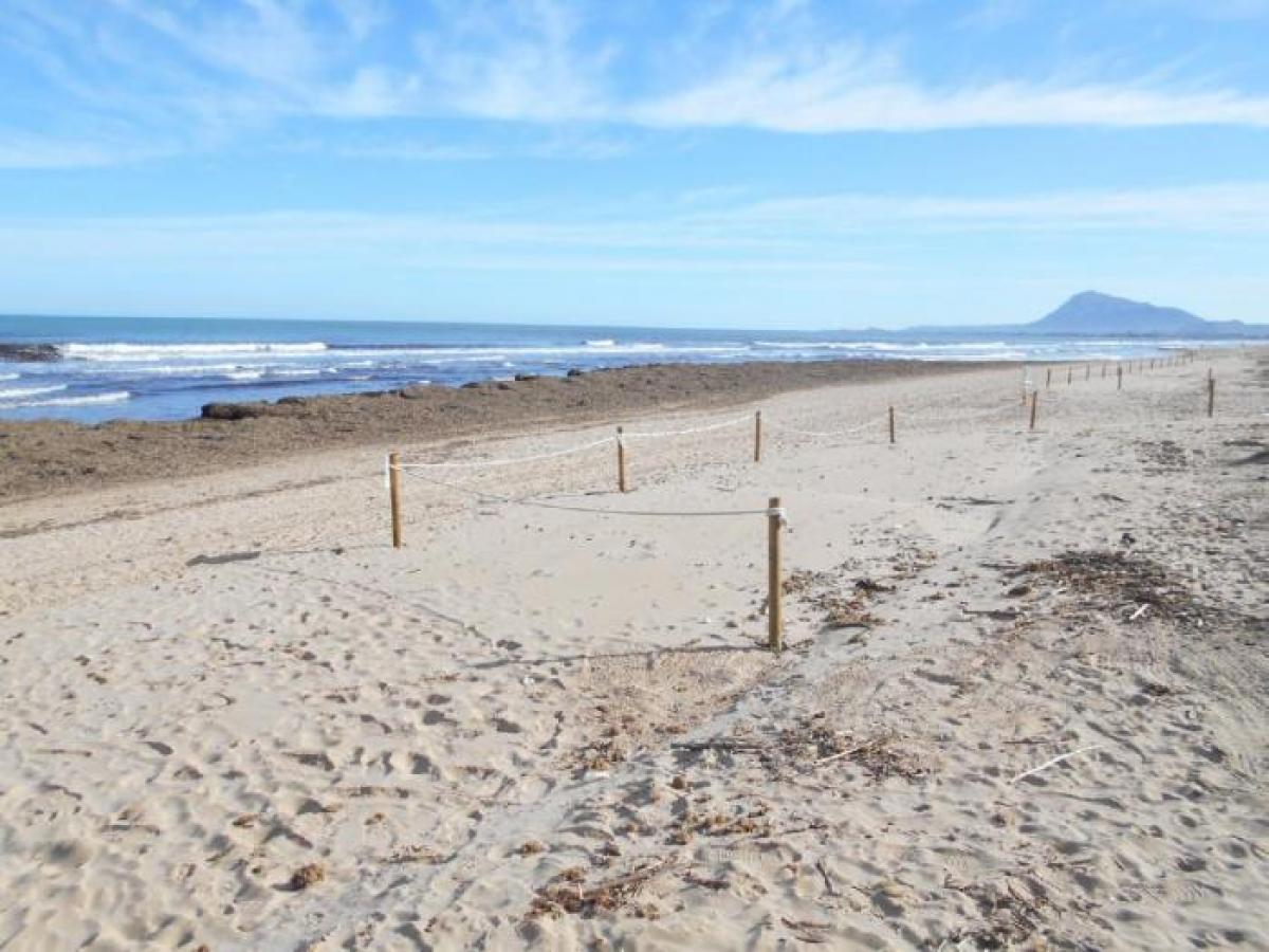 Picture of Villa For Sale in Oliva, Valencia, Spain