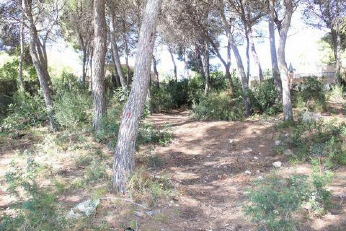 Picture of Residential Land For Sale in Moraira, Alicante, Spain