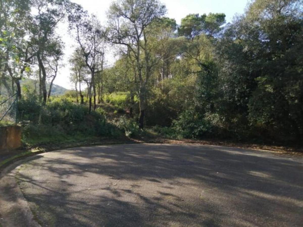 Picture of Residential Land For Sale in Caldes De Malavella, Girona, Spain