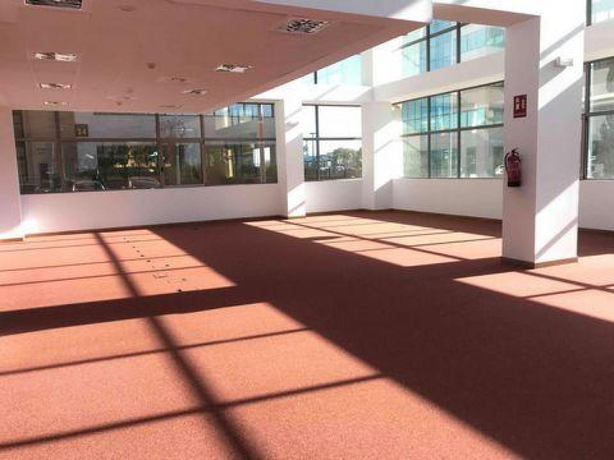 Picture of Office For Rent in Madrid, Madrid, Spain