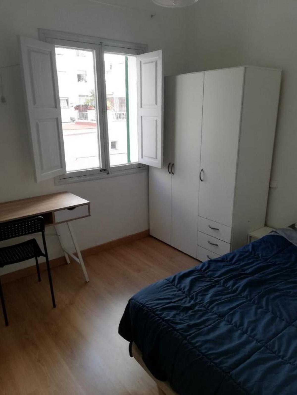 Picture of Apartment For Rent in Palma De Mallorca, Mallorca, Spain