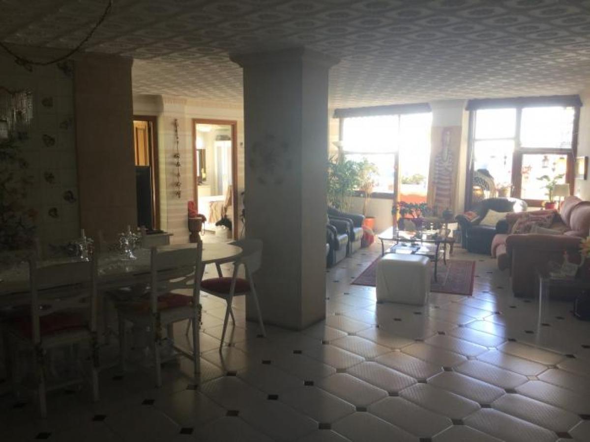 Picture of Apartment For Rent in Palma De Mallorca, Mallorca, Spain