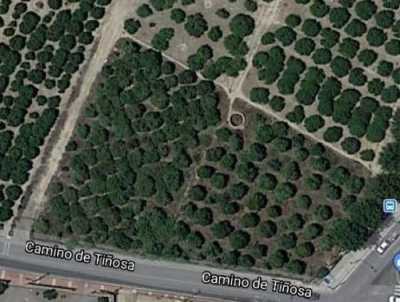 Residential Land For Sale in Murcia, Spain