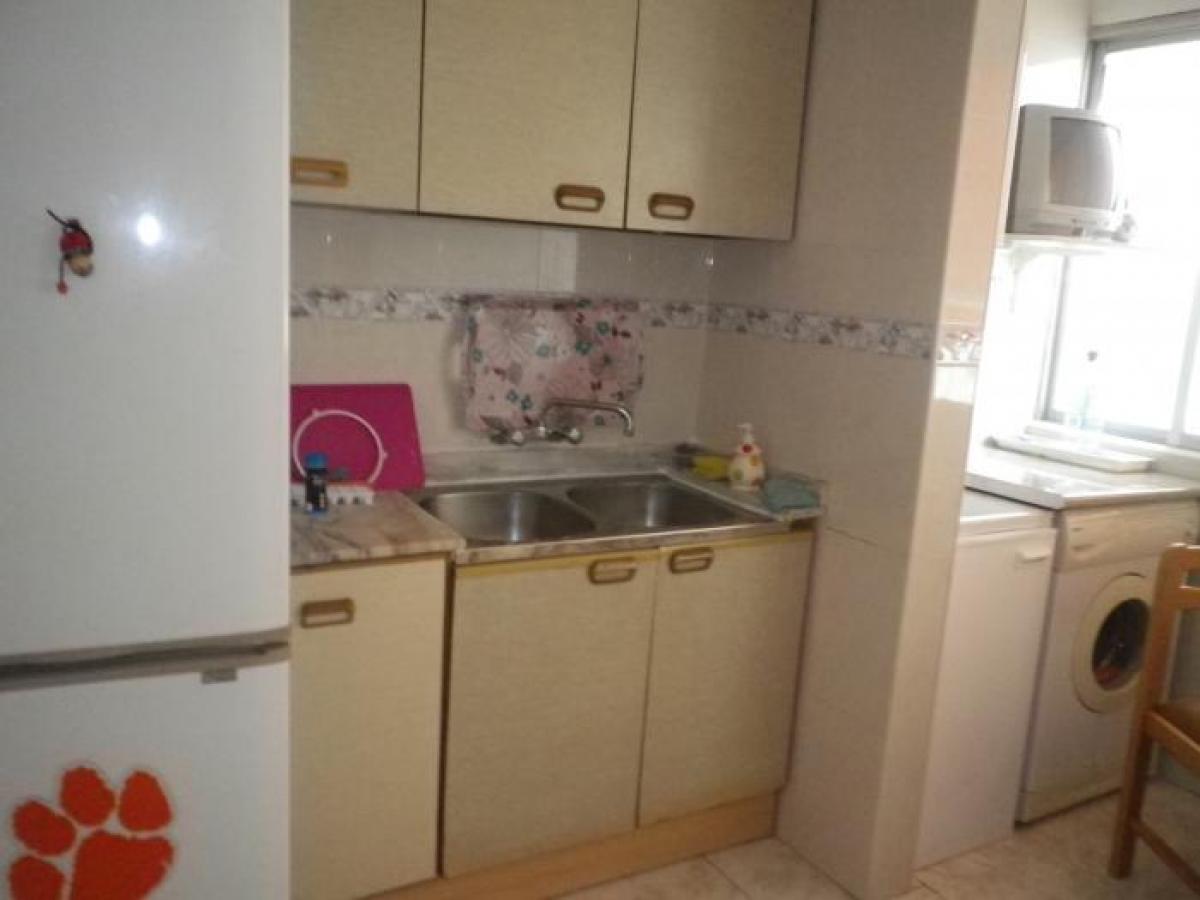 Picture of Apartment For Rent in Alicante, Alicante, Spain