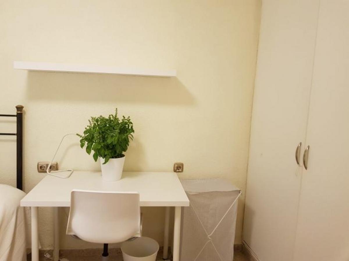 Picture of Apartment For Rent in Alicante, Alicante, Spain
