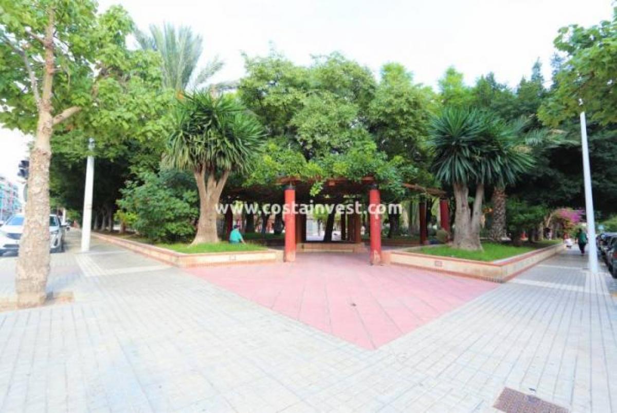 Picture of Retail For Sale in Elche, Alicante, Spain