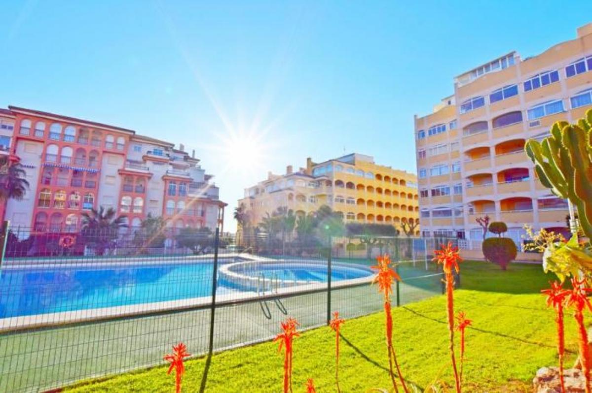 Picture of Apartment For Rent in Torrevieja, Alicante, Spain