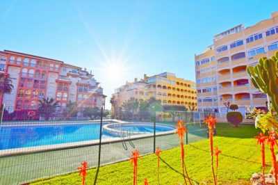 Apartment For Rent in Torrevieja, Spain
