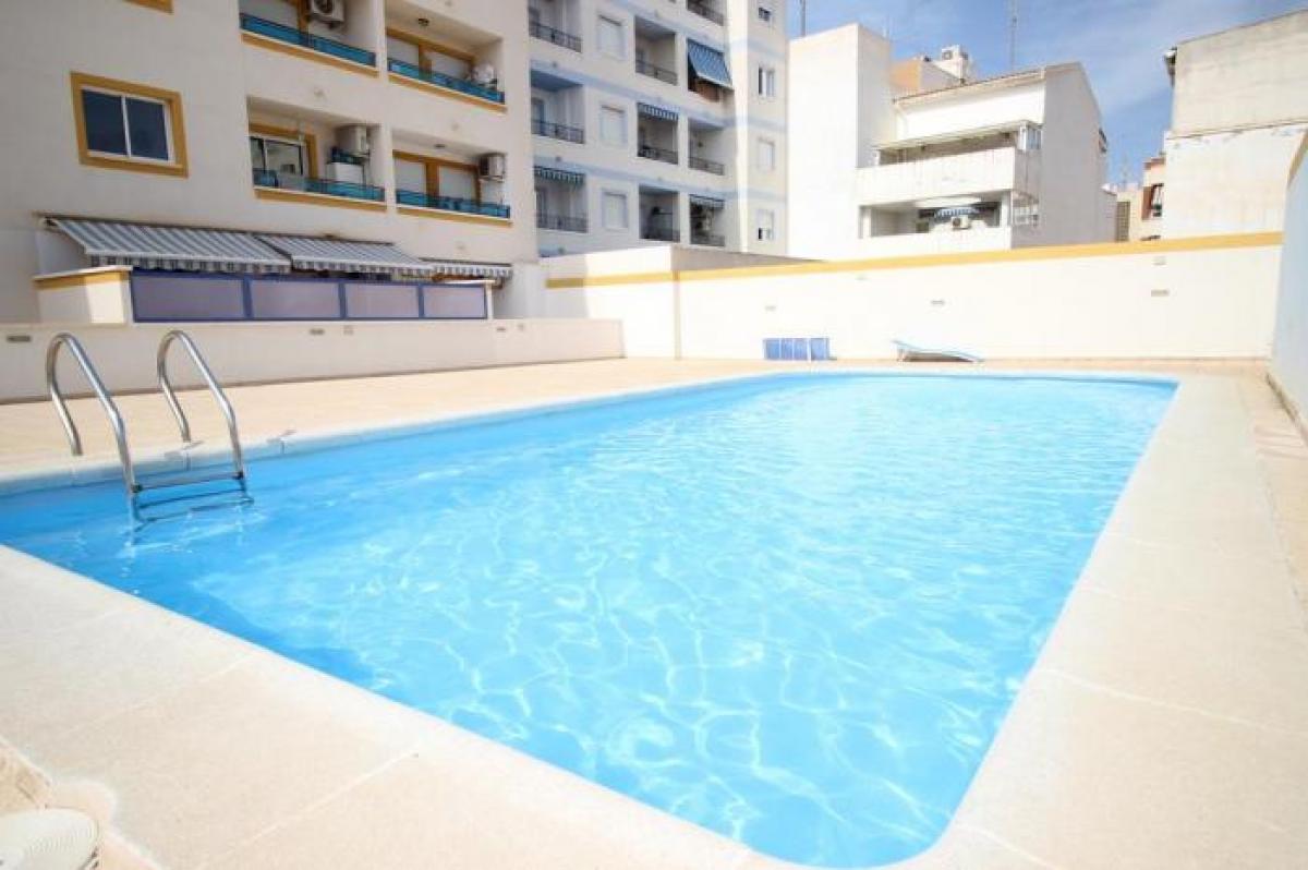 Picture of Apartment For Rent in Torrevieja, Alicante, Spain