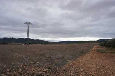 Residential Land For Sale in
