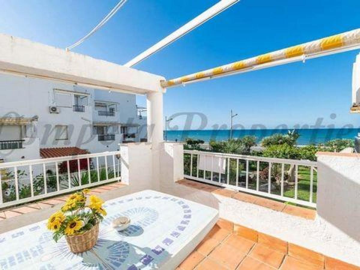 Picture of Apartment For Rent in Torrox Costa, Malaga, Spain