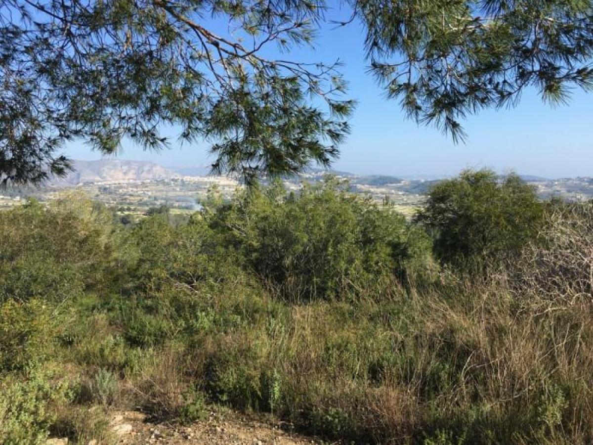 Picture of Apartment For Sale in Moraira, Alicante, Spain