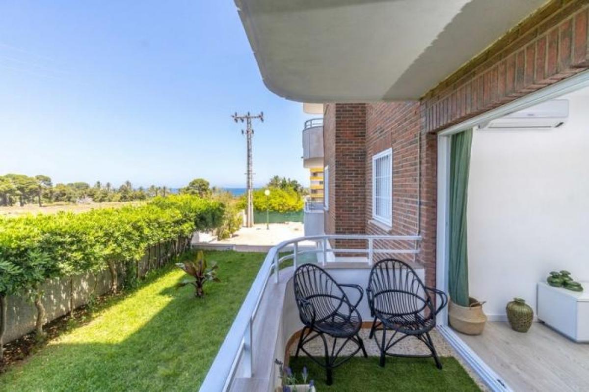 Picture of Apartment For Sale in Punta Prima, Alicante, Spain