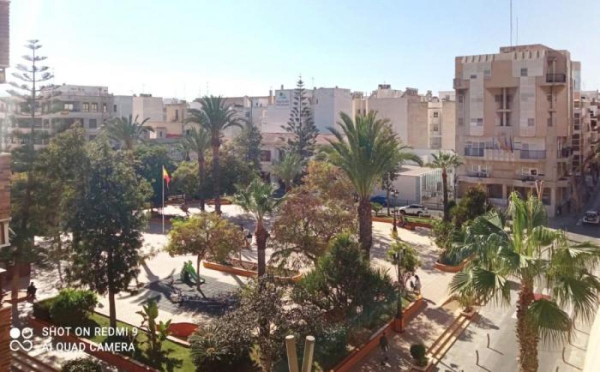 Picture of Apartment For Rent in Torrevieja, Alicante, Spain