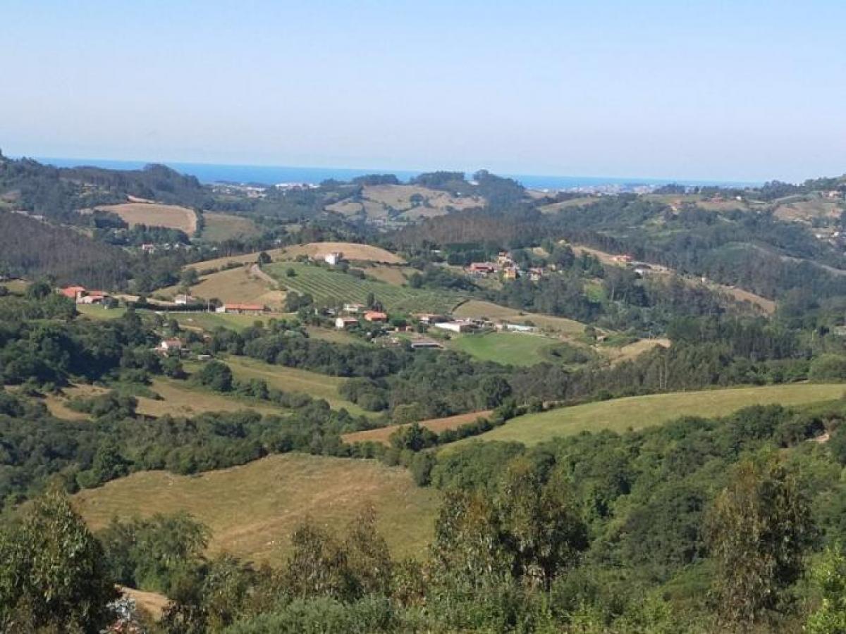 Picture of Residential Land For Sale in Siero, Asturias, Spain
