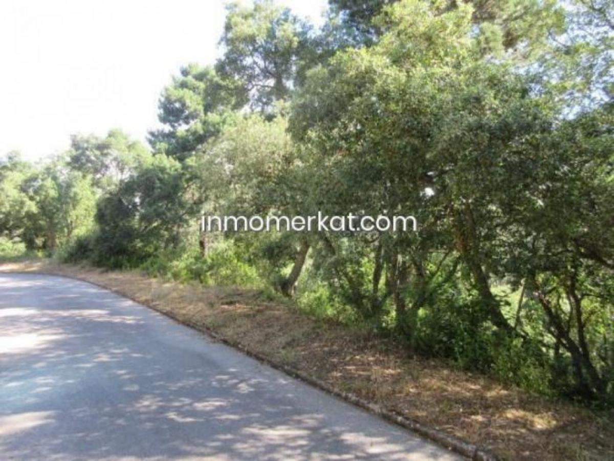 Picture of Residential Land For Sale in Lloret De Mar, Girona, Spain