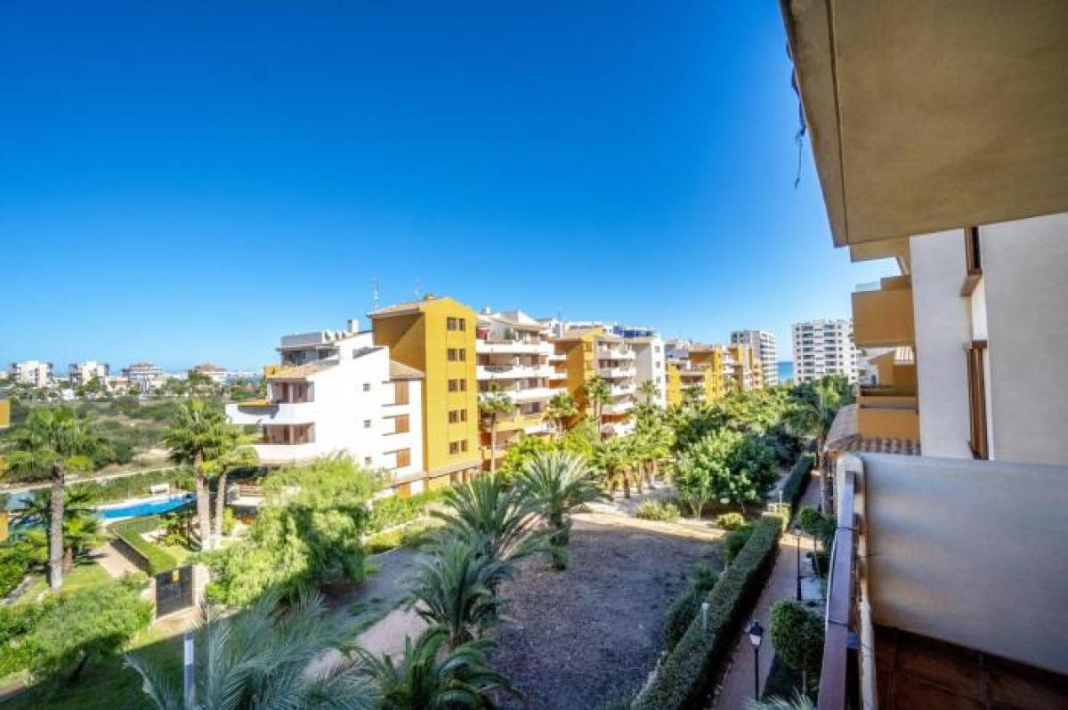 Picture of Apartment For Rent in Torrevieja, Alicante, Spain