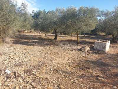 Residential Land For Sale in Alcanar, Spain