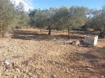 Residential Land For Sale in