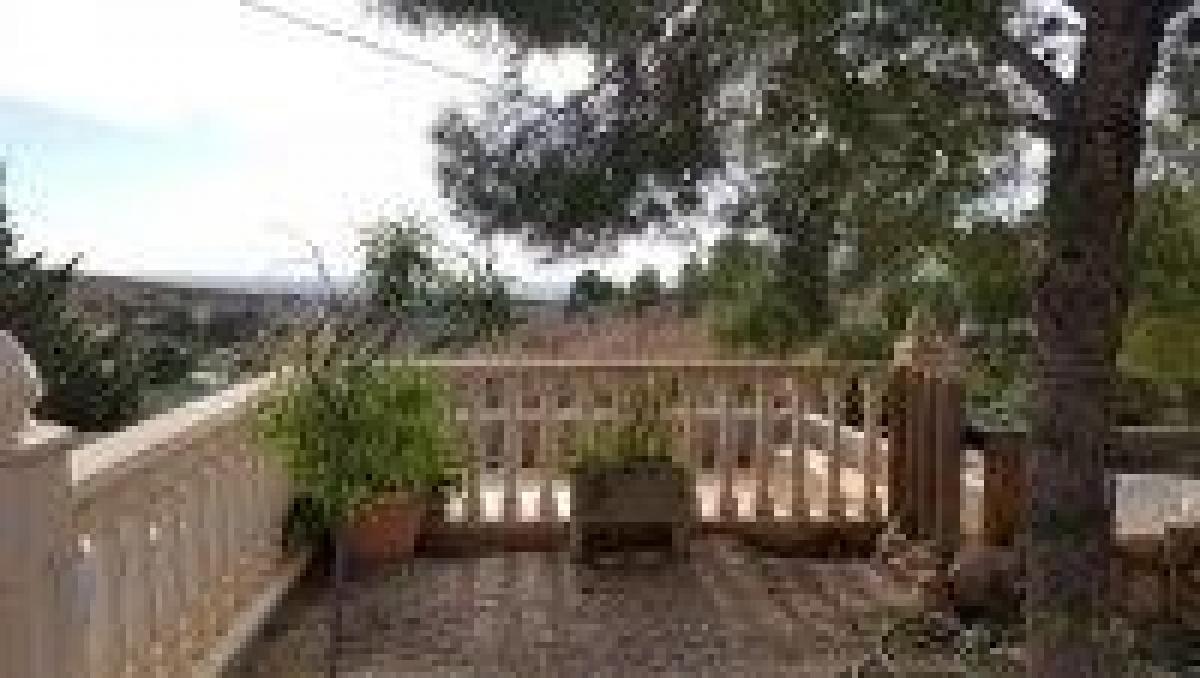 Picture of Villa For Sale in Crevillente, Alicante, Spain