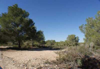 Residential Land For Sale in Pilar De La Horadada, Spain