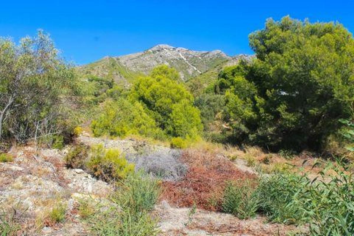 Picture of Residential Land For Sale in Mijas, Malaga, Spain