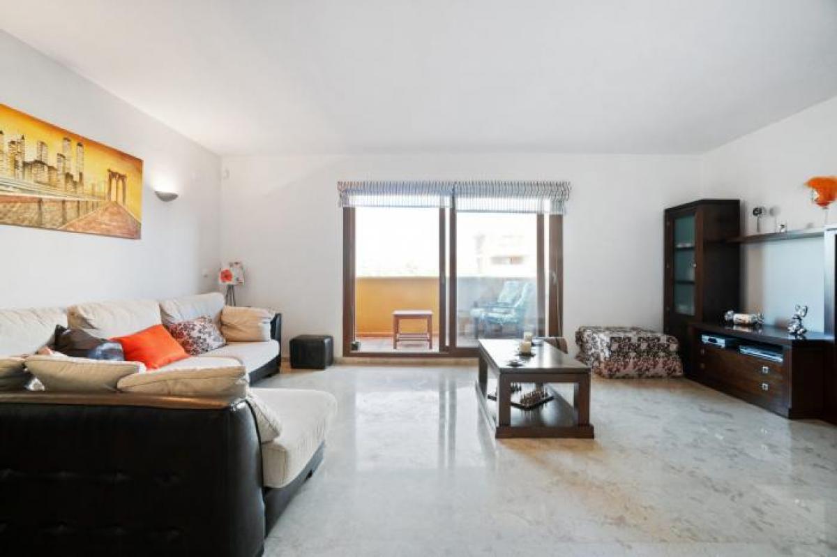 Picture of Apartment For Rent in Torrevieja, Alicante, Spain