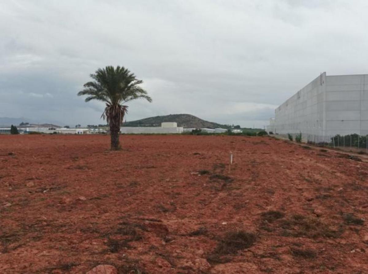 Picture of Residential Land For Sale in Fortuna, Murcia, Spain