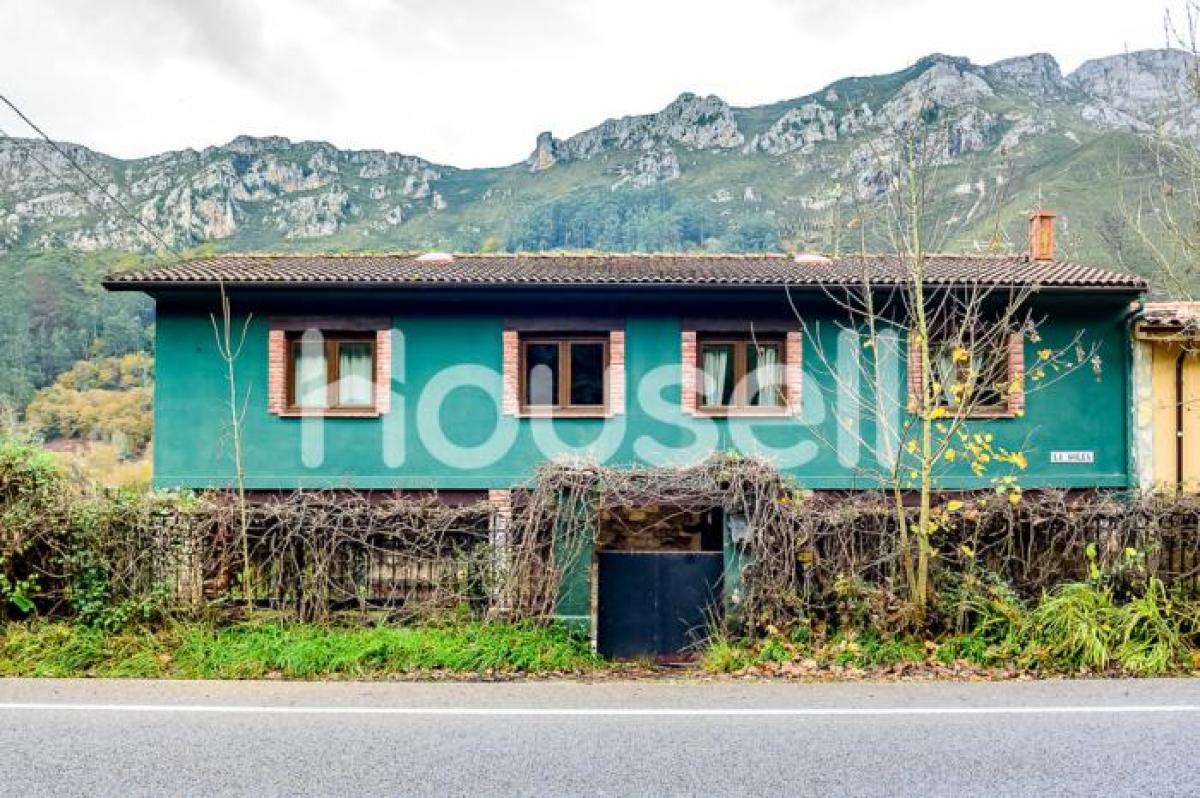 Picture of Home For Sale in Cangas de Onis, Asturias, Spain