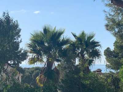 Residential Land For Sale in 