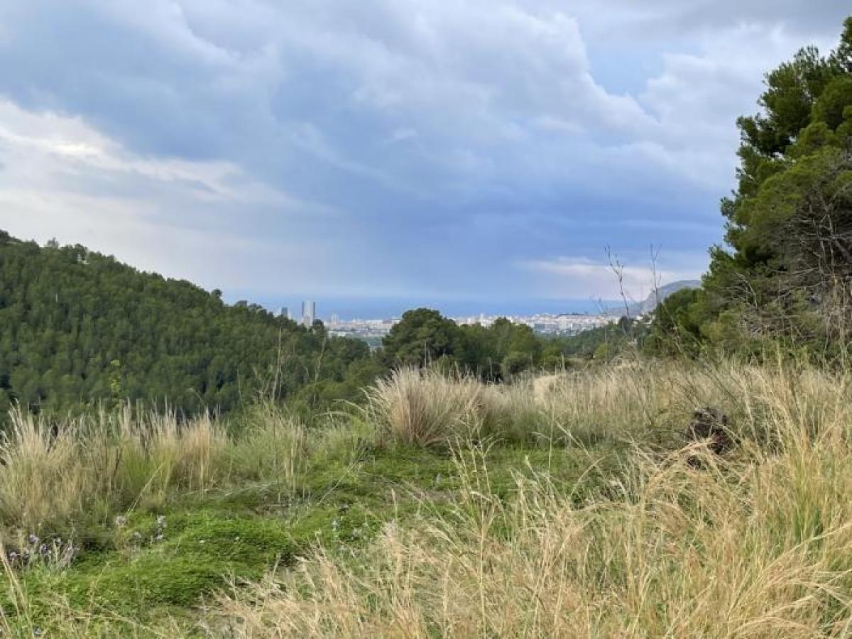 Picture of Apartment For Sale in Benissa Costa, Alicante, Spain