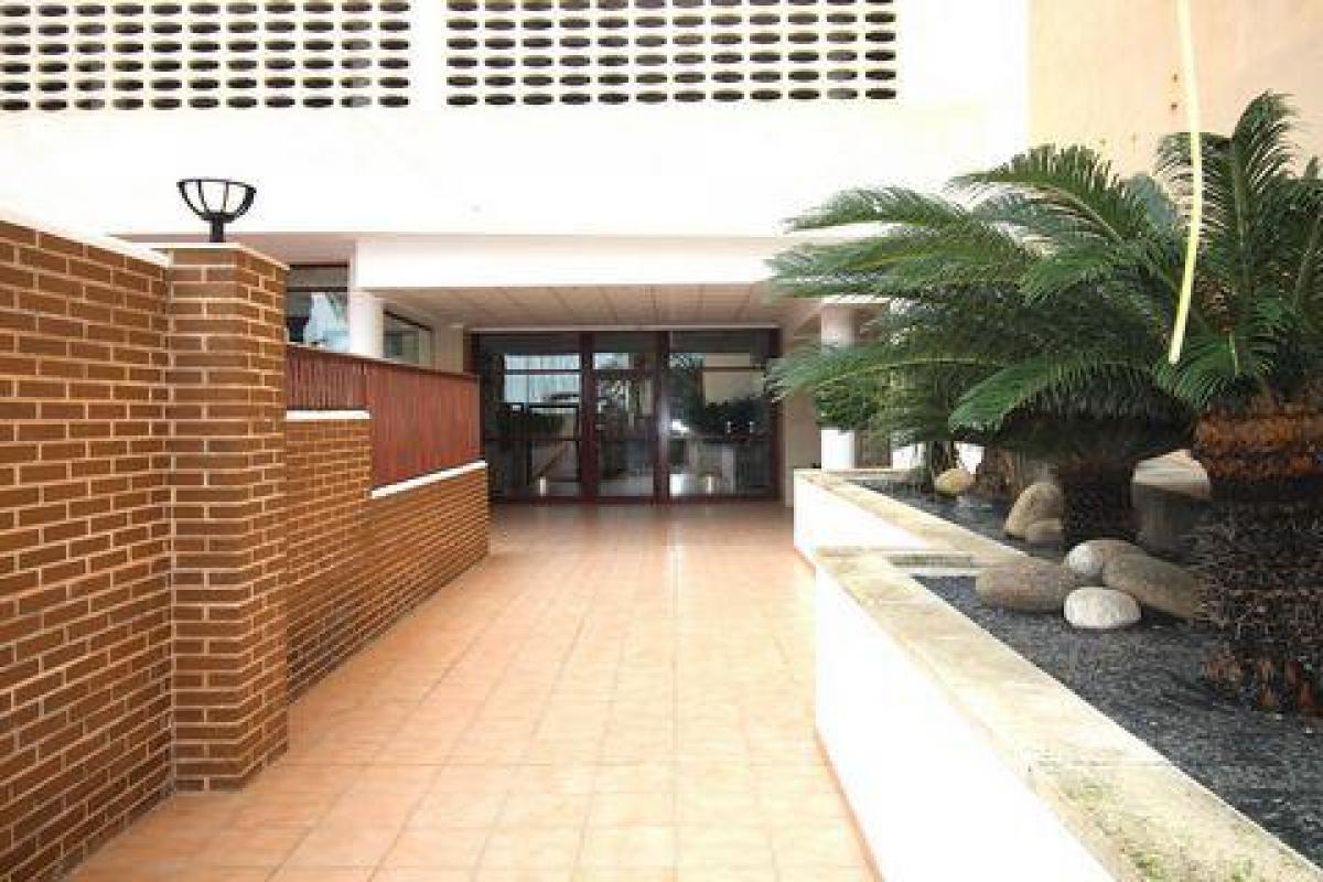 Picture of Apartment For Rent in Calpe, Alicante, Spain