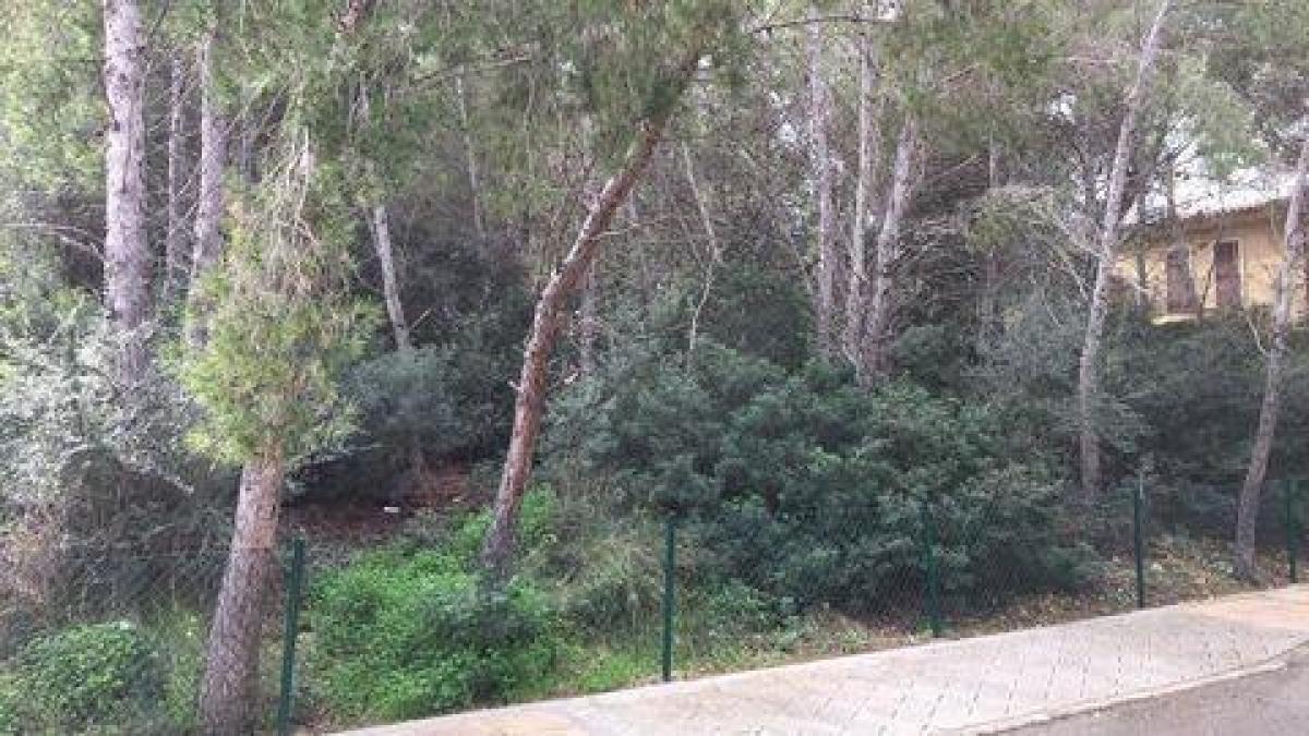 Picture of Residential Land For Sale in Port De Soller, Mallorca, Spain