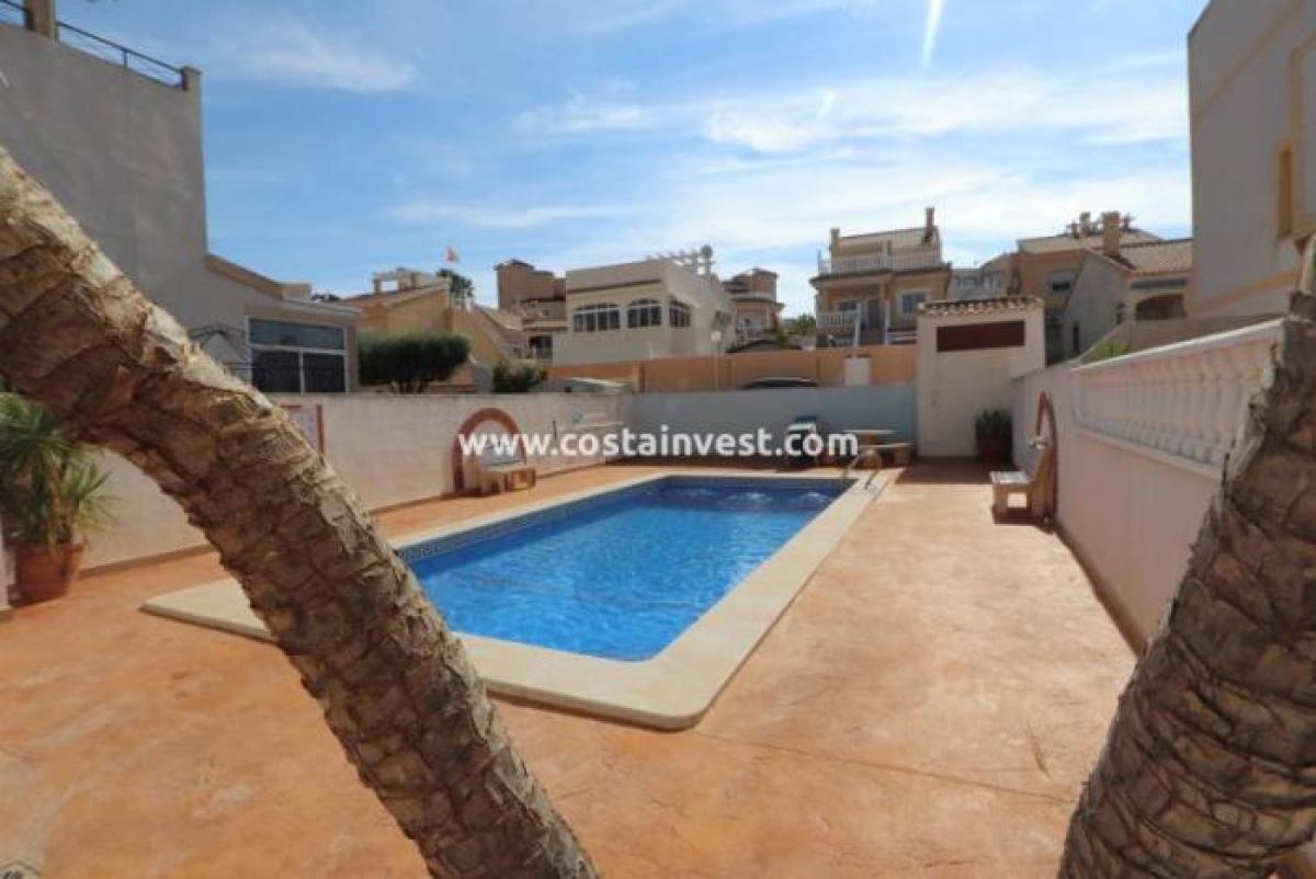 Picture of Apartment For Rent in Orihuela Costa, Alicante, Spain