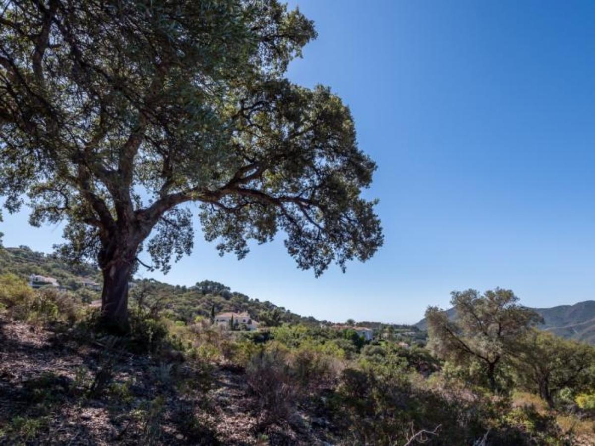 Picture of Residential Land For Sale in Marbella, Andalusia, Spain