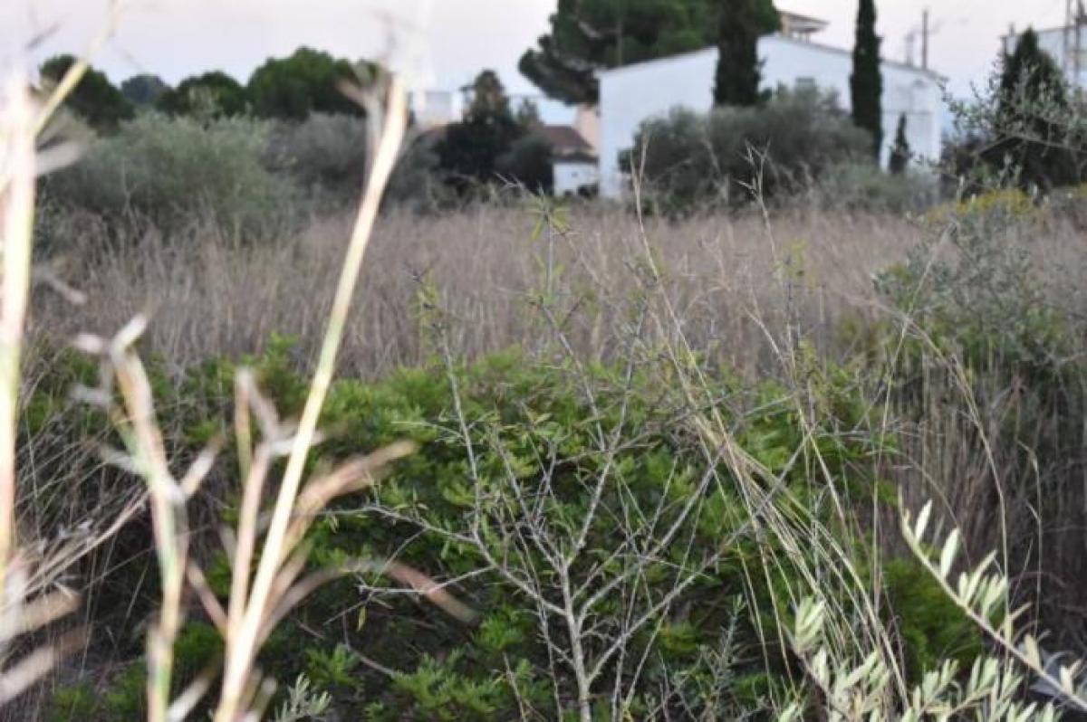 Picture of Residential Land For Sale in Sant Carles De La Rapita, Tarragona, Spain